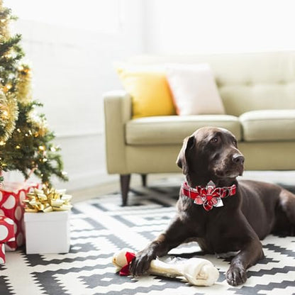 Dog Collar, Christmas Plaid Pet Collars with Flower Holiday Girl Boy Puppy Collar Adjustable Pet Collar for X-Small Dogs - color: Red Plaid, size: X-Small (Pack of 1)