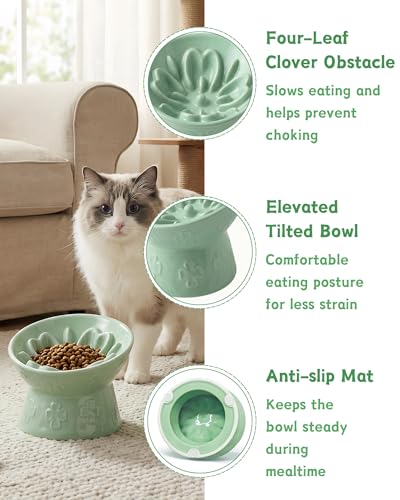 Ceramic Slow Feeder Cat Bowl, 15° Tilted Elevated Cat Slow Eating Bowl for Neck Protection, Anti Vomiting Dog Slow Feeder, Whisker Friendly & No Black Chin for Cats and Small Dogs, Green - color: 02-Green