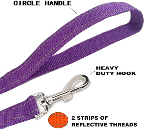 Reflective Dog Leash 4Ft /5 Foot /6 Feet Long, 1 Inch Wide, for Small and Medium Dogs - color: Reflective Purple, size: 1'' x 4 FT