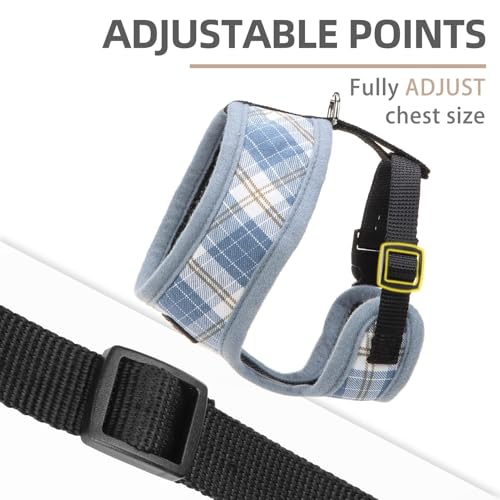 PUPTECK Soft Mesh Dog Harness and Leash Set Pet Puppy Cat Comfort Padded Vest No Pull Harnesses, Sky Blue, XS - color: Sky Blue, size: XS (NECK: 10", CHEST: 10"-14")