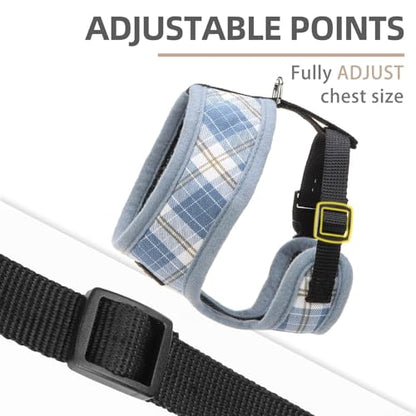 PUPTECK Soft Mesh Dog Harness and Leash Set Pet Puppy Cat Comfort Padded Vest No Pull Harnesses, Sky Blue, XS - color: Sky Blue, size: XS (NECK: 10", CHEST: 10"-14")