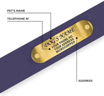 Regal Dog Products Large Purple Waterproof Dog Collars with Custom Engraved Name Plate | Vinyl Coated, Anti, Easy to Clean Personalized Biothane Dog Collar - Other Sizes for Small & Medium Dogs - color: Purple, size: Large Collar
