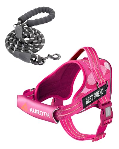AUROTH Dog Harness and Leash Set, Soft Padded Service Dog Vest with 5.25FT Dog Leash, No Choke, Easy On Pet Vest, Adjustable Reflective No Pull Pet Vest Medium Sized Dog, Easy Walking and Training - color: Pink Camo, size: Medium