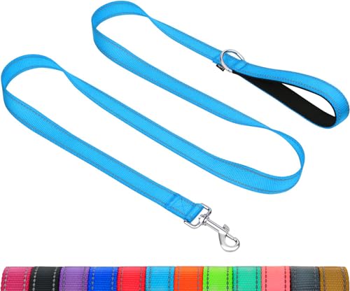 Taglory Dog Leash for Medium Large Dogs, Double-Sided Reflective for Night Walking, Neoprene Padded Handle, 1 inch by 5 ft, Heavy Duty for Medium Large Breeds 20-150 lbs, Sky Blue - color: Sky Blue, size: 1 in x 5 ft (Pack of 1)