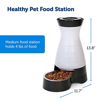 PetSafe Healthy Pet Food Station-Medium, 4 lb Kibble Capacity-Gravity Pet Feeder Dry Food Dispenser, Automatic Cat Feeder, Small to Medium-Removable Stainless Steel Bowl (Pack of 2) - size: Medium (Pack of 2)