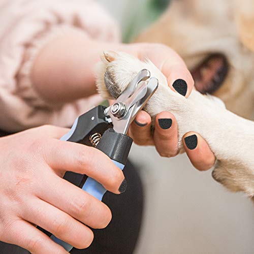 Pet Nail Clippers and Trimmers Set Safety Guard to Avoid Over Cutting Razor Sharp Blades Grooming Tool for All Small Large Dog Cat Blue - color: Blue