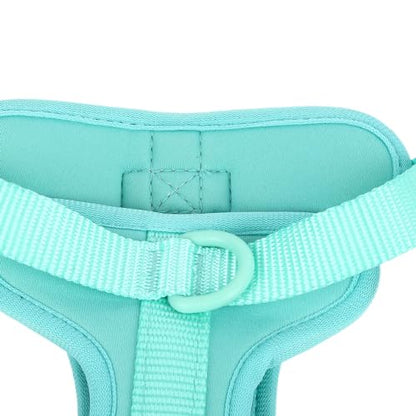 Adjustable Soft Breathable Escape Proof Dog Vest Harness, Pet Chest Harness for Small Dogs and Puppies, Bright Color Safety Design with Dual D Rings for Walking and (S) - color: Green