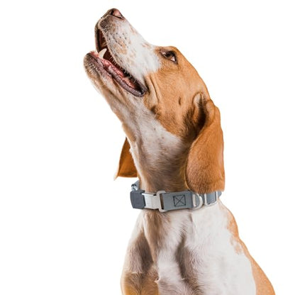 Biothane Waterproof Durable Dog Collar with Herm Sprenger - Quick Release ClicLock Buckle - Fits Medium and Large Dogs - Made in USA (Battleship Gray, W 1" x L 15"-25") - color: Battleship Gray, size: W 1" x L 15"-25"