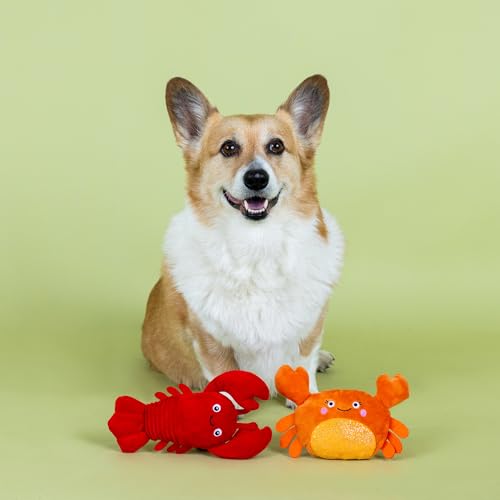 Fringe Studio Plush Dog Toy Set,You're Pretty Snappy Lobster & Crab 2 Piece Set,Pet Shop Collection (312061) - color: You're Pretty Snappy