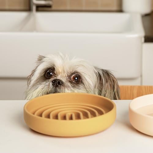 Should We Go? Slow Feeder for Dogs & Cats, The Slowdown Bowl Silicone Slow Eating Mealtime Solution with Modern Lick Mat Design, Reduces Gulping, Fits 1 Cup, 6” Across x 1.25” Tall, Small-Honey - color: Honey - Rainbow Design, size: Small (6” Across x 1.2