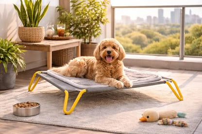 Elevated Dog Bed with Removable Cushion, Cooling Raised Pet Cot, Breathable Mesh Dog Bed, Washable Soft Mat, Durable Metal Frame, Indoor Outdoor Raised Pet Bed for Small Medium Dogs