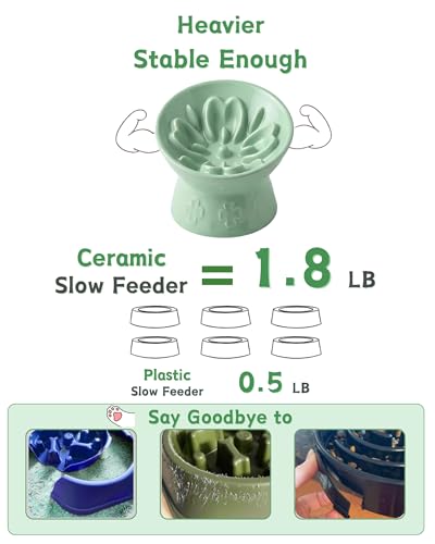 Ceramic Slow Feeder Cat Bowl, 15° Tilted Elevated Cat Slow Eating Bowl for Neck Protection, Anti Vomiting Dog Slow Feeder, Whisker Friendly & No Black Chin for Cats and Small Dogs, Green - color: 02-Green