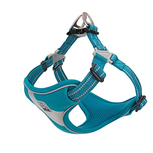TRUE LOVE Dog Harness TLH5991 Anti Pull Safety Vest Step-in Style Harness for More Comfort and Less Tug Reflective Pet Harness by Truelove Blue - color: Blue, size: M