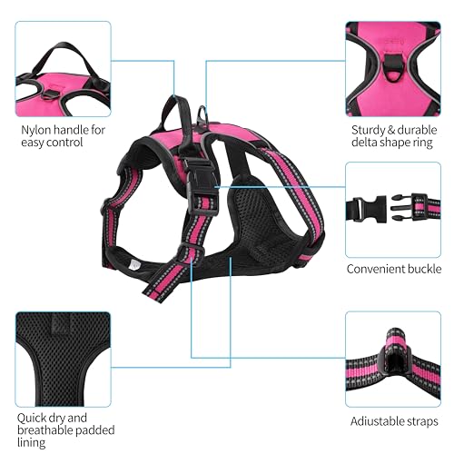 Hot Pink No-Pull Dog Harness with 2 Leash Clips，Soft Padded Vest for Medium Dog, Adjustable Reflective Dog Vest Easy to Put on and Take Off, (Neck: 14"~20", Chest: 21"~27", Hot Pink M) - color: Hot Pink, size: Medium