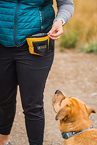 OllyDog Goodie Treat Bag, Dog Treat Pouch, Waist Belt Clip for Hands-Free Training, Magnetic Closure, Dog Training and Behavior Aids, Three Ways to Wear (Petals) - color: Petals