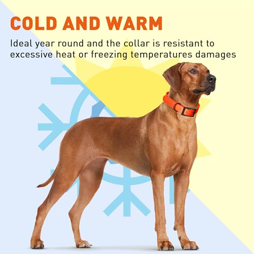 Dogline Biothane Waterproof Dog Collar Strong Coated Nylon Webbing with Black Hardware Odor- Proof for Easy Care Easy to Clean High Performance Fits Small Medium or Large Dogs, Hunter Orange
