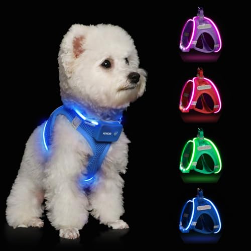 Light Up Dog Harness,Rechargeable LED Dog Harness for Small Medium Large Dogs,Reflective Lighted Safety Vest for Night Walking & Camping,Lightweight & Adjustable,Sky Blue,XS - color: Sky Blue, size: XS