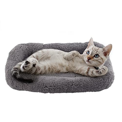 Small Cat Bed Mat Plush Pet Cushion, 15" x 10" Cat Pad with Pillow Around for Indoor Pets, Puppy Curl Sleep Self Warming Mat for Crate Carrier/Outdoor Pet Houses, Non-Slip Bottom, Small - color: S (15 x 10 inch)