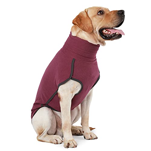 Dog Sweater Pullover Cold Weather Vest for Dogs Dog Sweatshirt & Jacket for Indoor and Outdoor Use (X-Small, Wine red) - color: Wine red, size: X-Small
