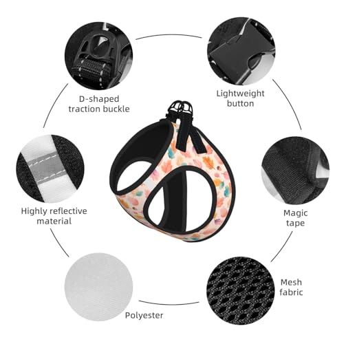 Maple Leaf Autumn Leaves Pet Harness Escape Proof Dog Harness Adjustable Mesh Padded Reflective Dog Vest Harness and Leash Set Large - color: Style 10, size: Large