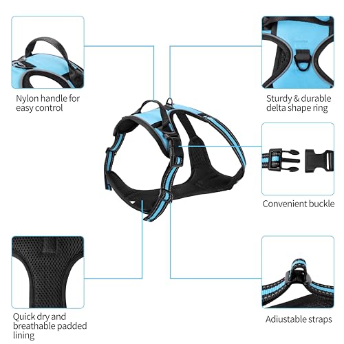 Blue No-Pull Dog Harness with 2 Leash Clips，Soft Padded Vest for Large Dog, Adjustable Reflective Dog Vest Easy to Put on and Take Off, (Neck: 17"~24", Chest: 24"~32",Blue L) - color: Blue, size: Large