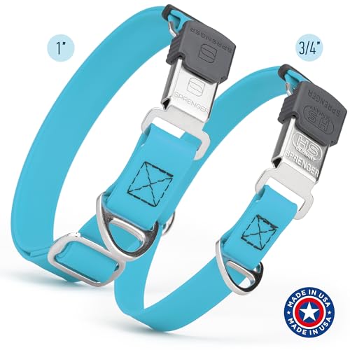 Biothane Waterproof Durable Dog Collar with Herm Sprenger - Quick Release ClicLock Buckle - Fits Medium and Large Dogs - Made in USA (Sky Blue, W 3/4" x L 12"-19") - color: Sky Blue, size: W 3/4" x L 12"-19"