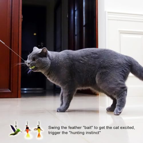 TTcat Cat Feather Toys Replacement,3 Pcs Hummingbird Insect Feathers Refills for Cat Wands. - color: 3Pcs (Insects+Hummingbird)