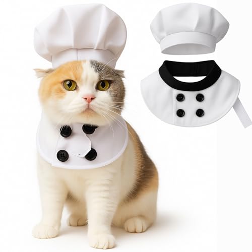 Pet Custom Dog Custom Cat Custom Hoodie, Sporty Look, Funny Gift, Halloween Holiday (Chef, Large) - color: Chef, size: Large