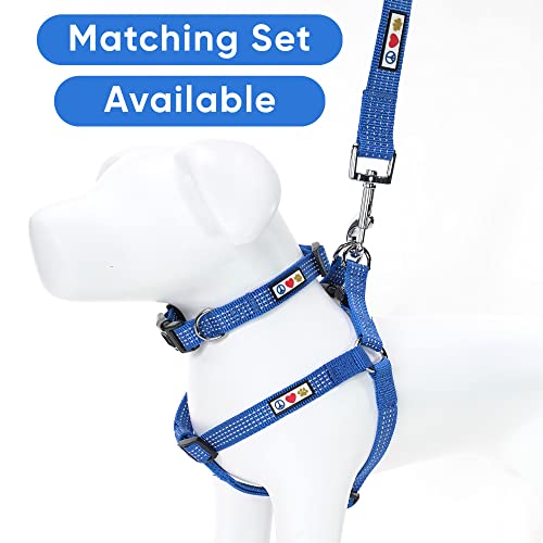 Pawtitas Reflective Dog Collar for Small Dogs – Adjustable Nylon Puppy Collar with Quick-Release Buckle | Fits Neck 11–16 in | Night Safety Training Collar | S | Blue - color: Blue, size: Small (Pack of 1)