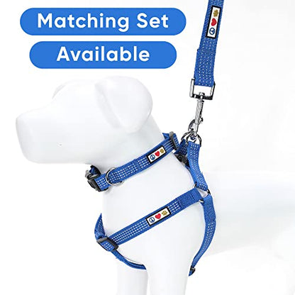 Pawtitas Reflective Dog Collar for Small Dogs – Adjustable Nylon Puppy Collar with Quick-Release Buckle | Fits Neck 11–16 in | Night Safety Training Collar | S | Blue - color: Blue, size: Small (Pack of 1)