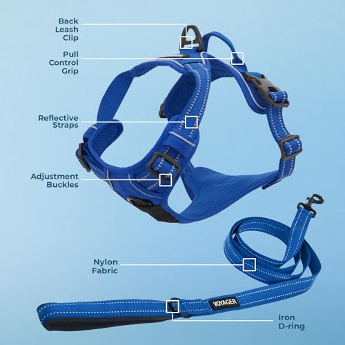 Voyager Dog Harness Dual Leash Attachment No-Pull Control Adjustable Soft but Strong Pet Harness for Medium and Large Dogs with 3M Reflective Technology, Leash Set Royal Nylon, S (Chest: 16-20") - color: Leash Set Royal Nylon, size: S (Chest: 16 - 20")
