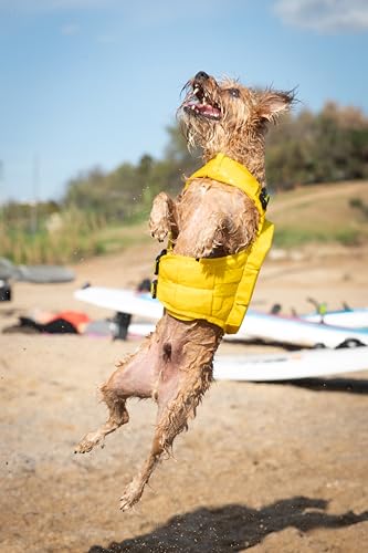 NOAH & PAW Dog Life Jacket, Human Standards Lifejacket Design, Dog Life Vest for Swimming and Boating, 3X Foam Support for Max Floating, Breathable Mesh, Salvavidas para Perros, Size S - size: S