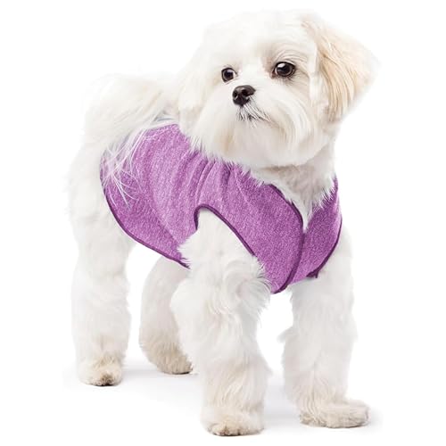 Goldpaw Dog Sun Shirt with UV Protection - Lightweight, Cooling Sun Protection Clothing for Small Dogs - Reduce Heat Absorption - Made in The USA - Machine Washable - Violet - Size 8 - color: Violet, size: 8
