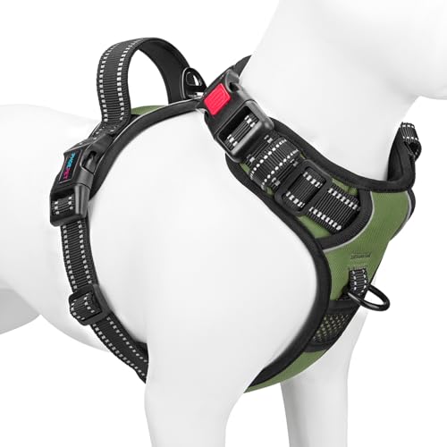 PHOEPET No Pull Dog Harness with Handle Front & Back Clip, Easy on Lockable Snap Buckle at Neck, Adjustable Reflective Vest with Handle for Small Medium Large Dogs (S, Misty Green) - color: Misty Green, size: Small