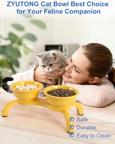 Raised Cat Bowl with Anti-Ant Hollow Base, Detachable Melamine Elevated Cat Bowls, Anti-Vomiting Whisker Friendly Cats Dish for Food, Stable & Non-Slip Cats Food Bowl, Dishwasher Safe - color: Yellow, size: Double