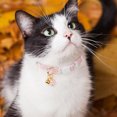2 Pack Cotton Breakaway Cat Collar Purple and Pink Flowers Pendant Cute Kitten Cat Collar with Bell - color: Purple&Pink