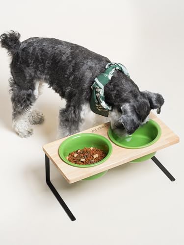 Elevated Dog Bowls, Raised Dog Bowl Stand with Two 6.5 inch Ceramic Bowl, Non-Slip Puppy Food and Water Bowls, Dogs Feeder for Small and Medium Breed,Green - color: Green, size: 6.5inch
