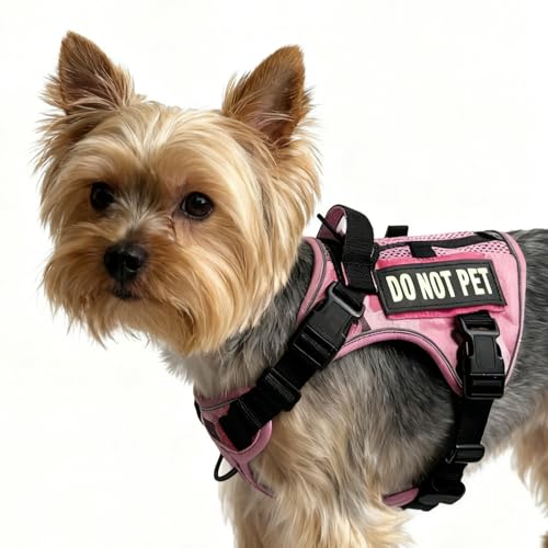 Tactical Dog and Cat Harness for XS and Small Puppy, Air Pet Vest No Pull with Reflective Do Not Pet Patches, Breathable Dog Molle Vests for Training Walking Hunting Camo Pink - color: CAMO PINK, size: S