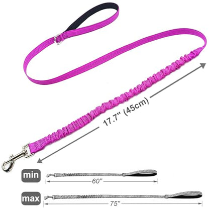 Bungee Dog Leash- 5FT Shock Absorbing & Reflective Nylon Leash | Anti-Pull Training for Small/Medium Dogs | 2cm Wide, 6 Colors (Purple) - color: Purple