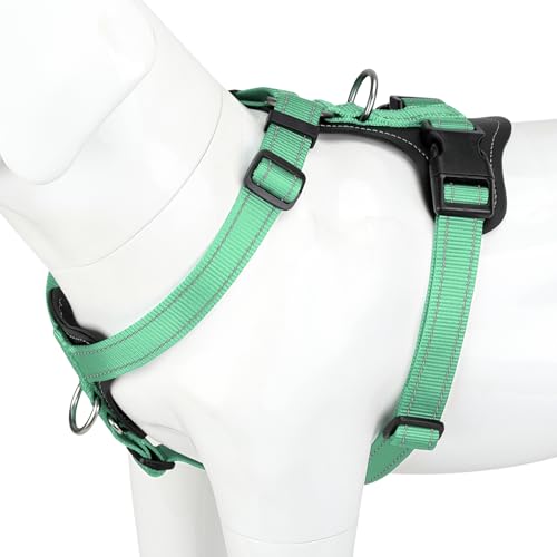 Plutus Pet Adjustable No Pull Dog Harness with Leather Accents, Heavy Duty Reflective Nylon Vest for Training, Hiking, Easy Walk Harness for Small, Medium, Large Dogs (Teal, S) - color: Teal, size: S