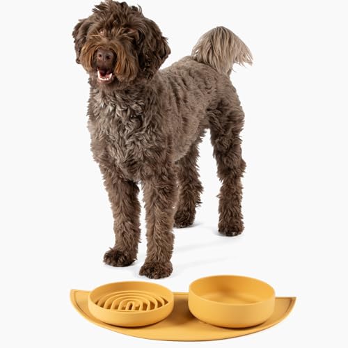 Should We Go? Slow Feeder for Dogs & Puppies, The Slowdown Bowl Silicone Slow Eating, Modern Lick Mat Design, Reduces Gulping, Fits 2 Cups, 7.5” Across x 1.5” Tall, Mealtime Challenge, Medium-Honey - color: Honey - Rainbow Design, size: Medium (7.5” Acros