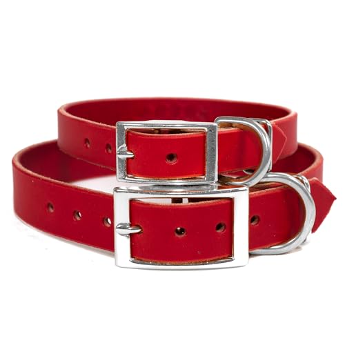 Handmade Studded Bridle Leather Dog Collar, Silver Tone Hardware and Stainless Steel Nameplate (Red) - color: Red