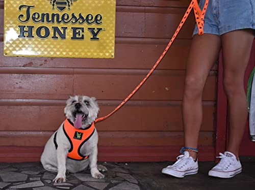 Dog Harness Soft Gentle No Pull No Choke Dog Harnesses Double Padded Halter Ultra Cushion Walking Breathable Mesh Dog Vest for Puppies XS Small Medium Large XL (Medium (Neck 12 to 14 in), Orange) - color: Orange