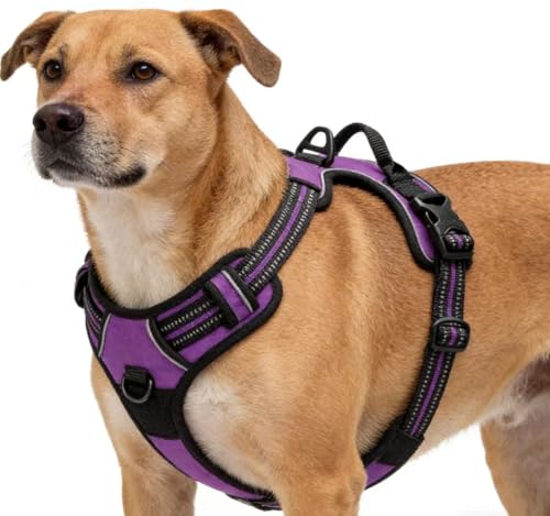Purple No-Pull Dog Harness with 2 Leash Clips，Soft Padded Vest for Small Dog, Adjustable Reflective Dog Vest Easy to Put on and Take Off,(Neck: 13"~17", Chest: 17"~21",Purple Small) - color: Purple, size: Small