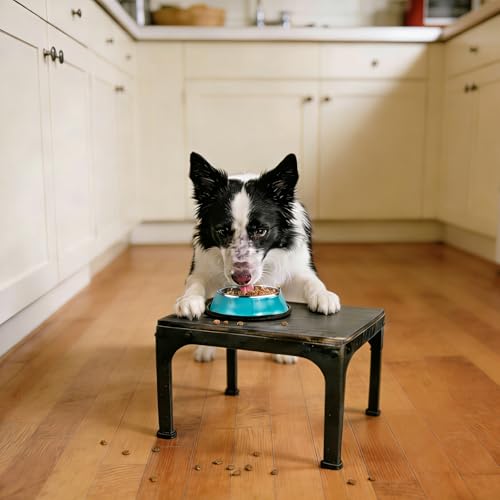 Cute Stainless Steel Dog Bowl, Practical Non-Slip Pet Food Water Bowl for Cats and Small Dogs, Portable Kitten Snack Feeding Bowls with Removable Rubber Base for Travel, Daily Use (Blue) - color: Blue
