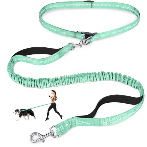 Laqibak Hands Free Dog Leash, Adjustable Waist Leash for Dog, Handle Bungee 4.2-6.7 Feet Long with Reflective Stitches for Walking Hiking Running, Fits 26"- 43" Waist, Mint Green - color: Mint Green