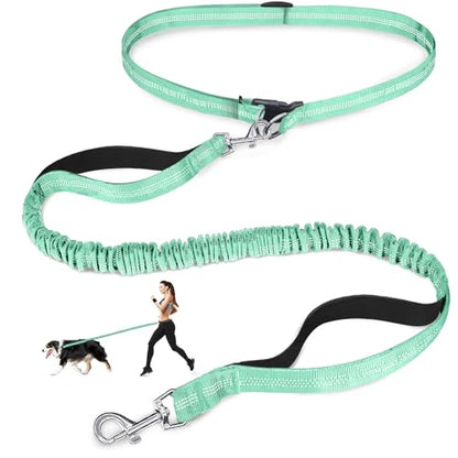 Laqibak Hands Free Dog Leash, Adjustable Waist Leash for Dog, Handle Bungee 4.2-6.7 Feet Long with Reflective Stitches for Walking Hiking Running, Fits 26"- 43" Waist, Mint Green - color: Mint Green