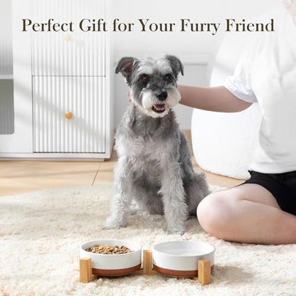 MALACASA Ceramic Dog Bowls Small Size Dog with Wood Stand, 1.5-Cup Ceramic Puppy Bowls for Cats & Small Dogs, Dual Food and Water Bowls with Weighted Non-Slip Base, Glaze Matte,14 Oz - color: Vanilla White（2 PCS with Stand）, size: S-1.5 Cups