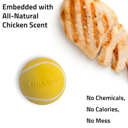 Playology Dog Toys | Squeaky Chew Ball - Bouncy Durable Floating Fetch Ball for Dogs | Jumbo Chicken Scented Toy - Easy to Clean and Made from Non Toxic Materials - size: Jumbo, style: Chicken