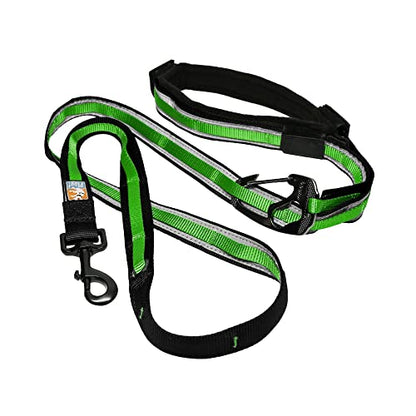Kurgo Quantum Leash 2.0 - Versatile for Running or Walking - 6 in 1 Dog Leash - Hands-Free Dog Leash - Adjustable - Strong & Durable - Grass Green - color: Grass Green